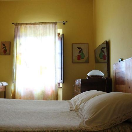 Bio Agriturismo Podere Pretoia Сан-Джиминьяно Экстерьер фото