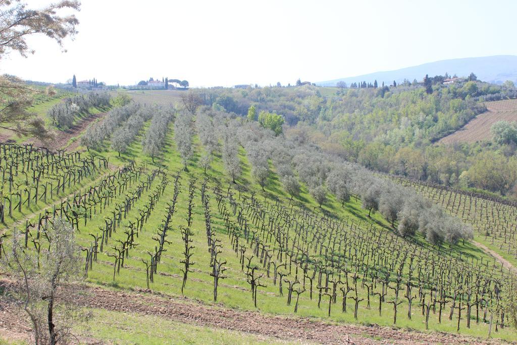 Bio Agriturismo Podere Pretoia Сан-Джиминьяно Экстерьер фото