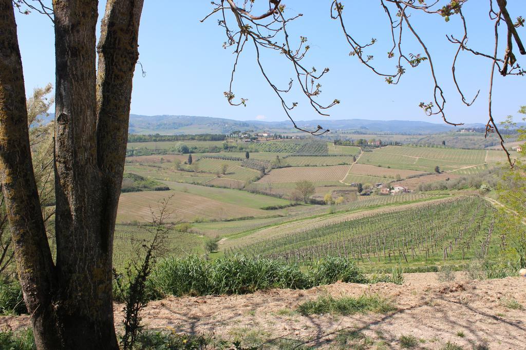 Bio Agriturismo Podere Pretoia Сан-Джиминьяно Экстерьер фото
